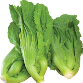 Sawi Pahit / Sawi Asin