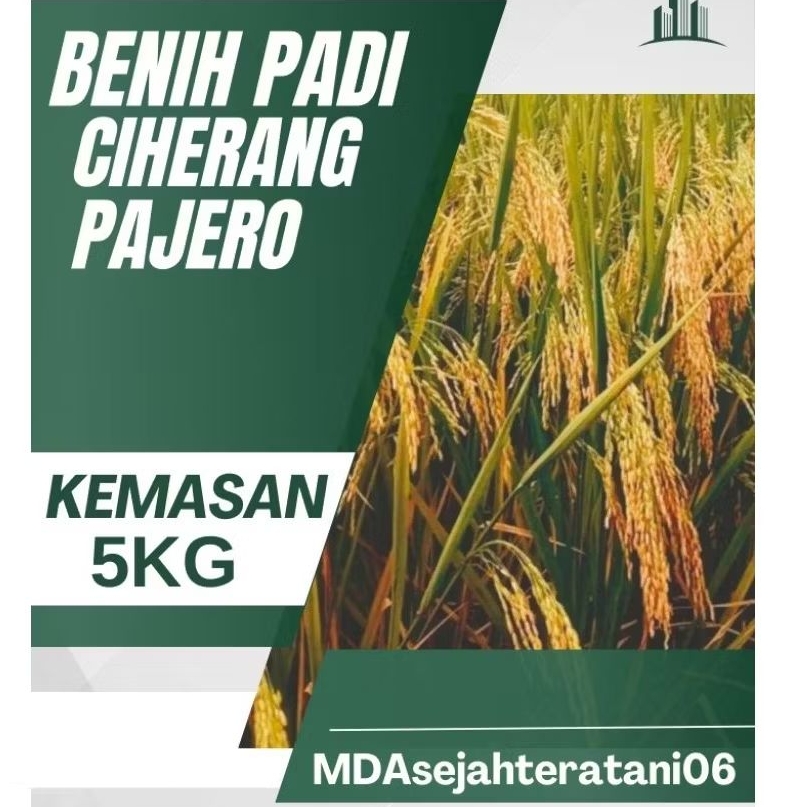 BENIH PADI CIHERANG PAJERO KUALITAS UNGGUL KEMASAN 5KG