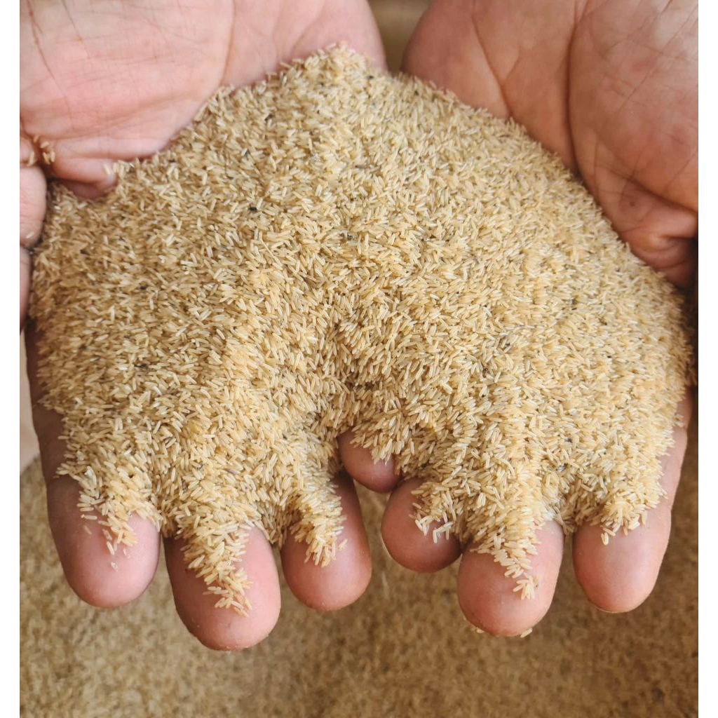 telur jangkrik alam 1kg