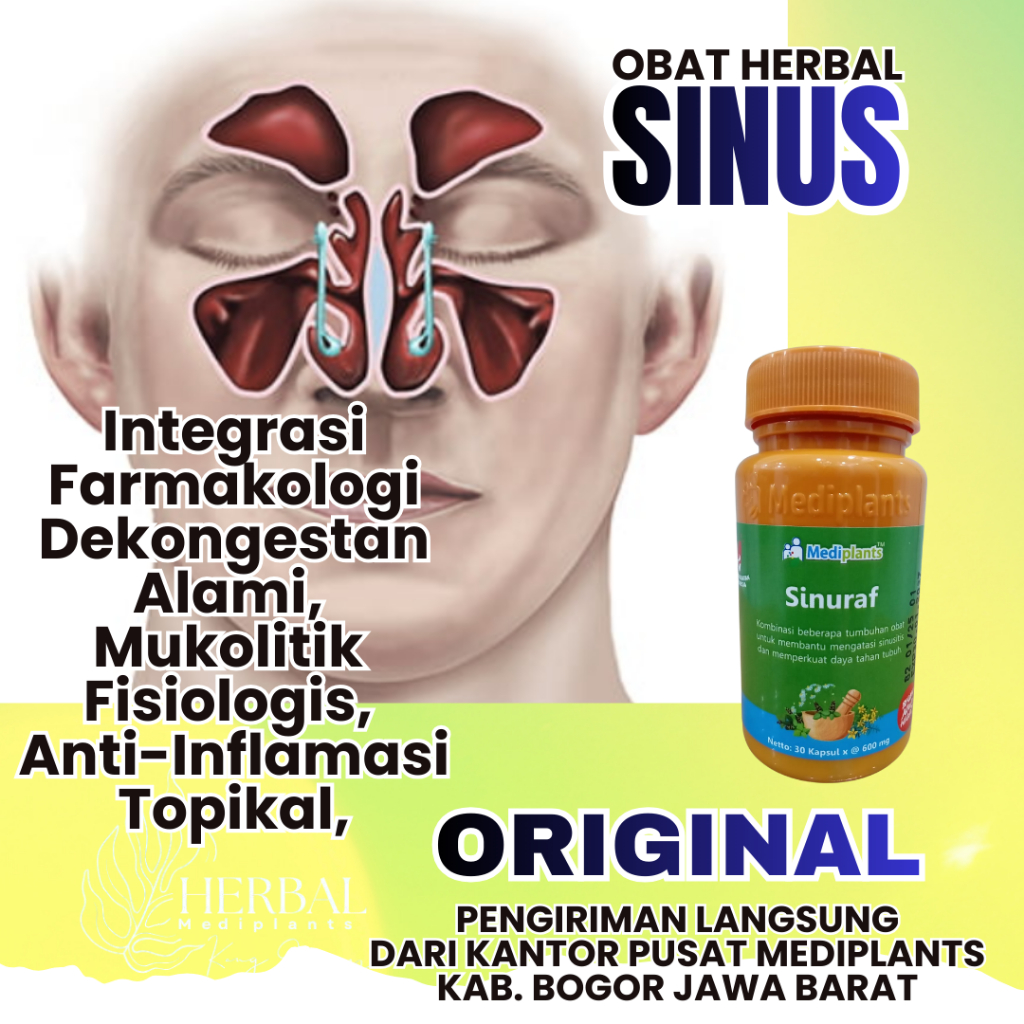 Sinuraf -  Sinus - Sinusitis - Obat Herbal Sinusitis Menahun Paling Ampuh - Mediplants