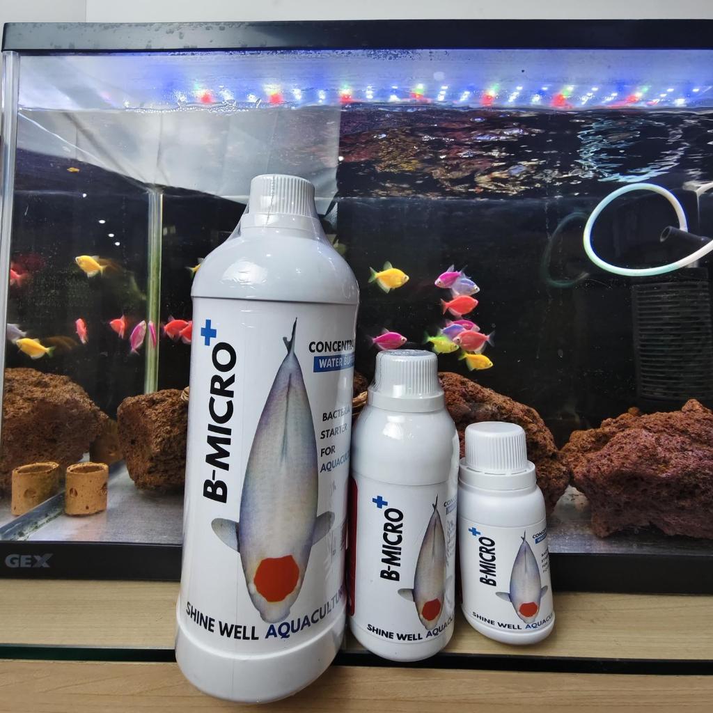 BMICRO+ Bakteri Starter Untuk Ikan Koi , Arwana dan Lainnya Penjernih Air dan Pengurai Amonia Pada K