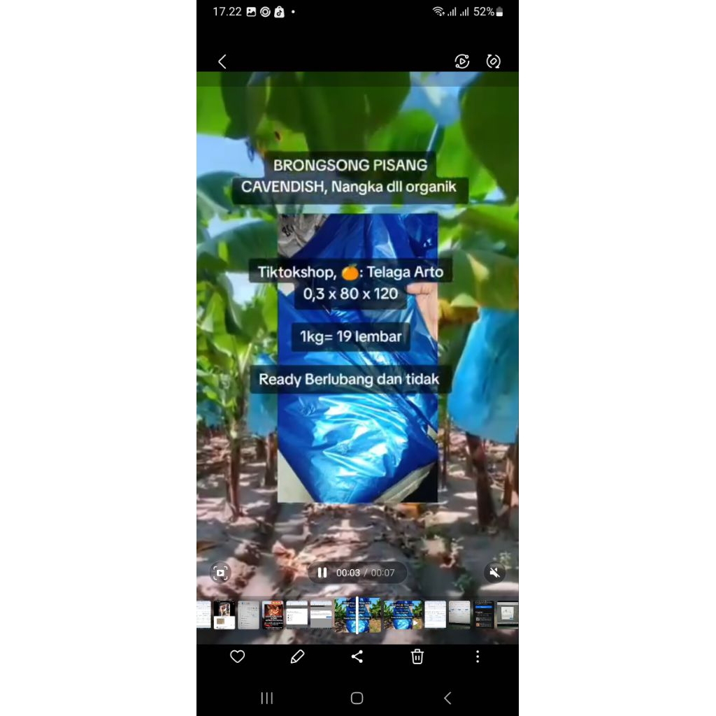 BRONGSONG PLASTIK Pisang cavendish PREMIUM,0,3x80x125 paket 25kg