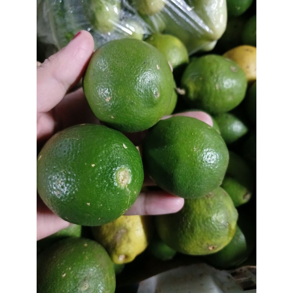 Jeruk Minum/Jeruk Peras 1kg - Segar, Manis