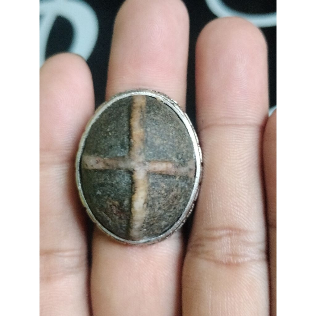 Batu Tapak Jalak Urat Timbul