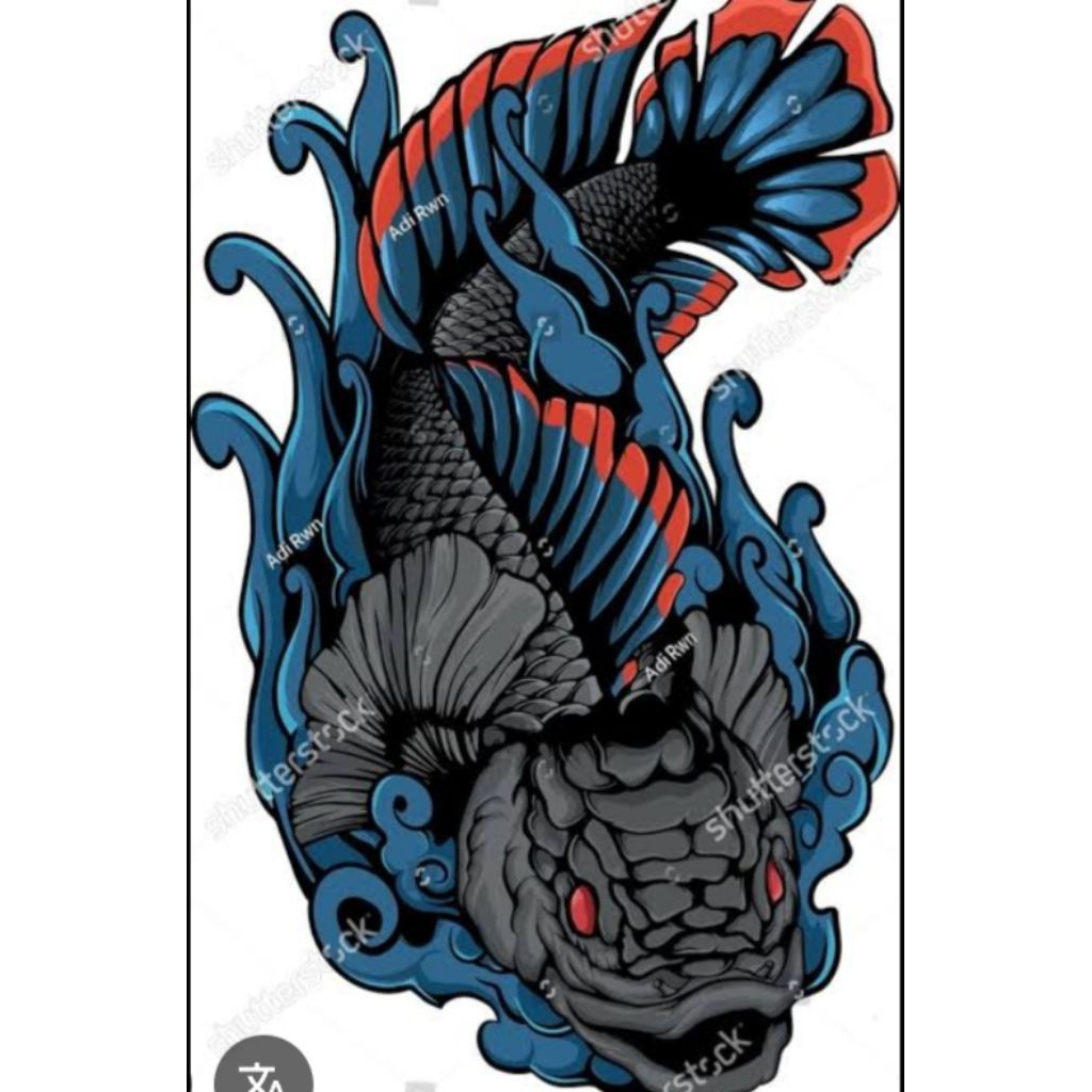 setiker limbata 5+15cm