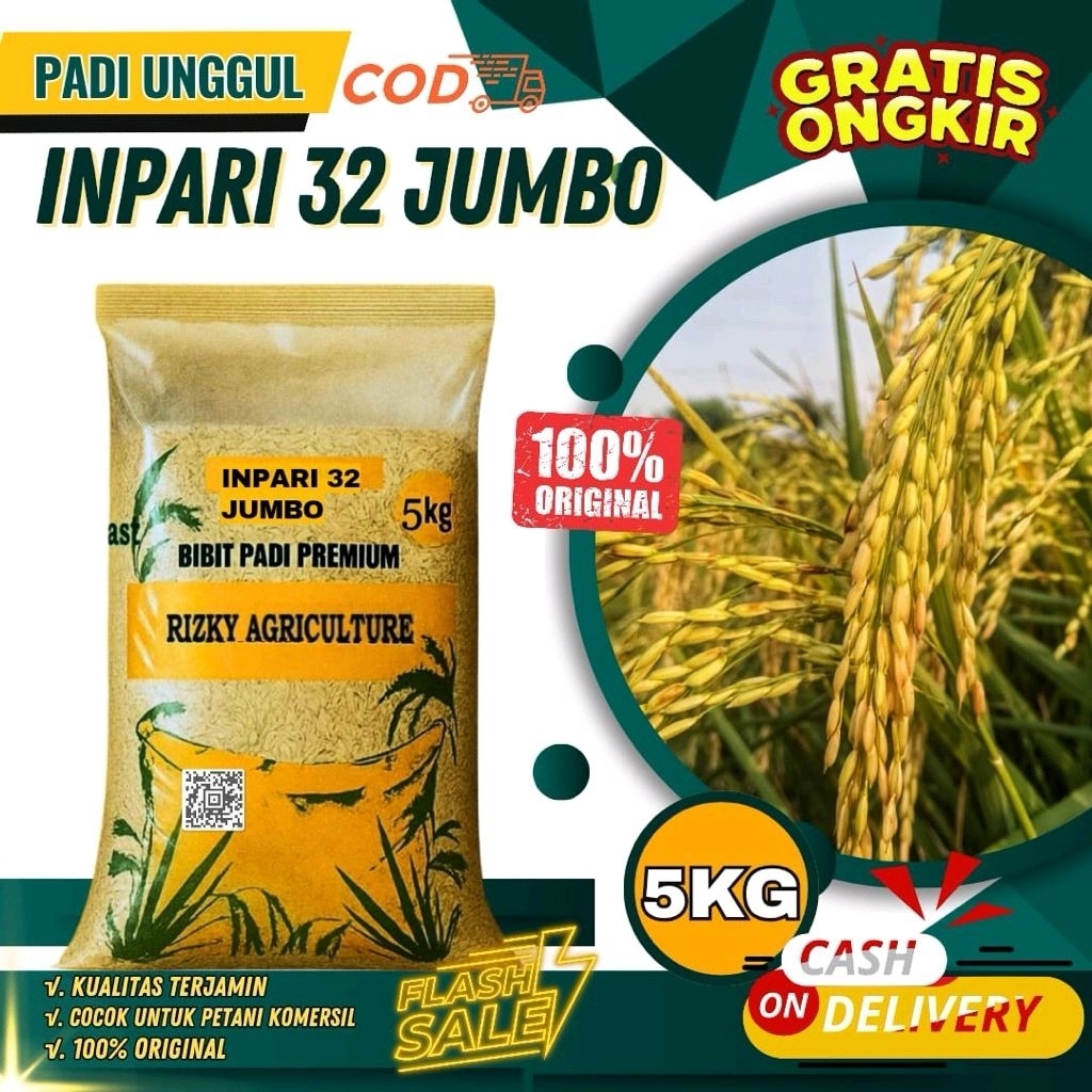 BENIH PADI BIBIT PADI INPARI 32 JUMBO KUALITAS PREMIUM KEMASAN 5KG