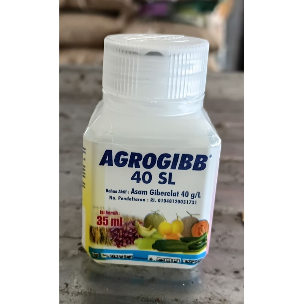 AGROGIB ZPT  BUNGA DAN BUAH