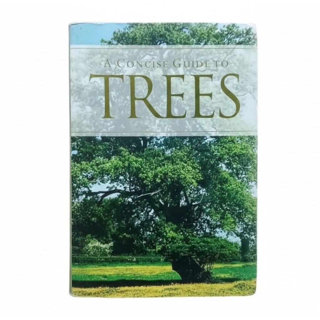 A Concise Guide to Trees