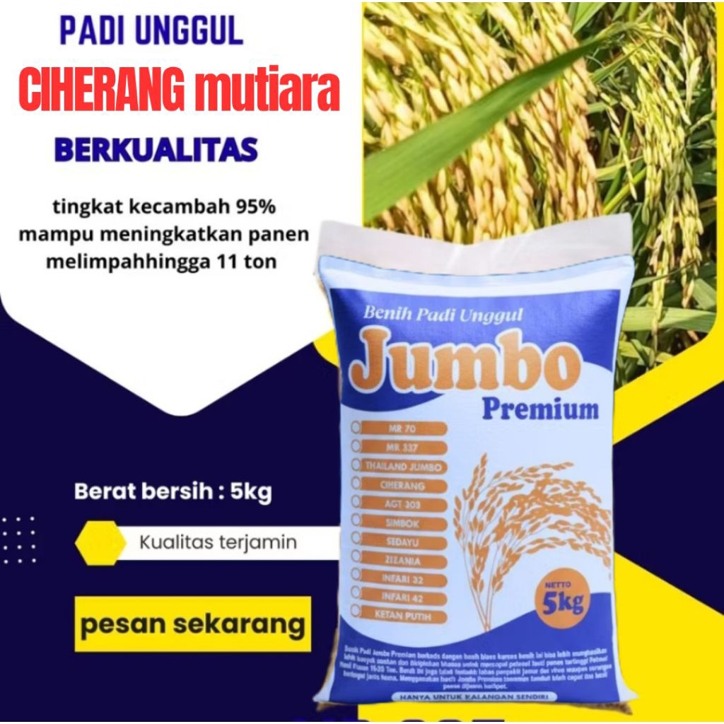 benih padi unggul Ciherang mutiara kemasan 5kg