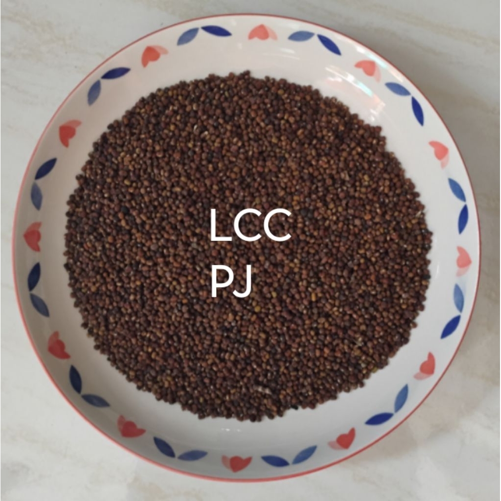 BIJI KACANGAN PUERARIA JAVANICA (PJ) 250 Gr.