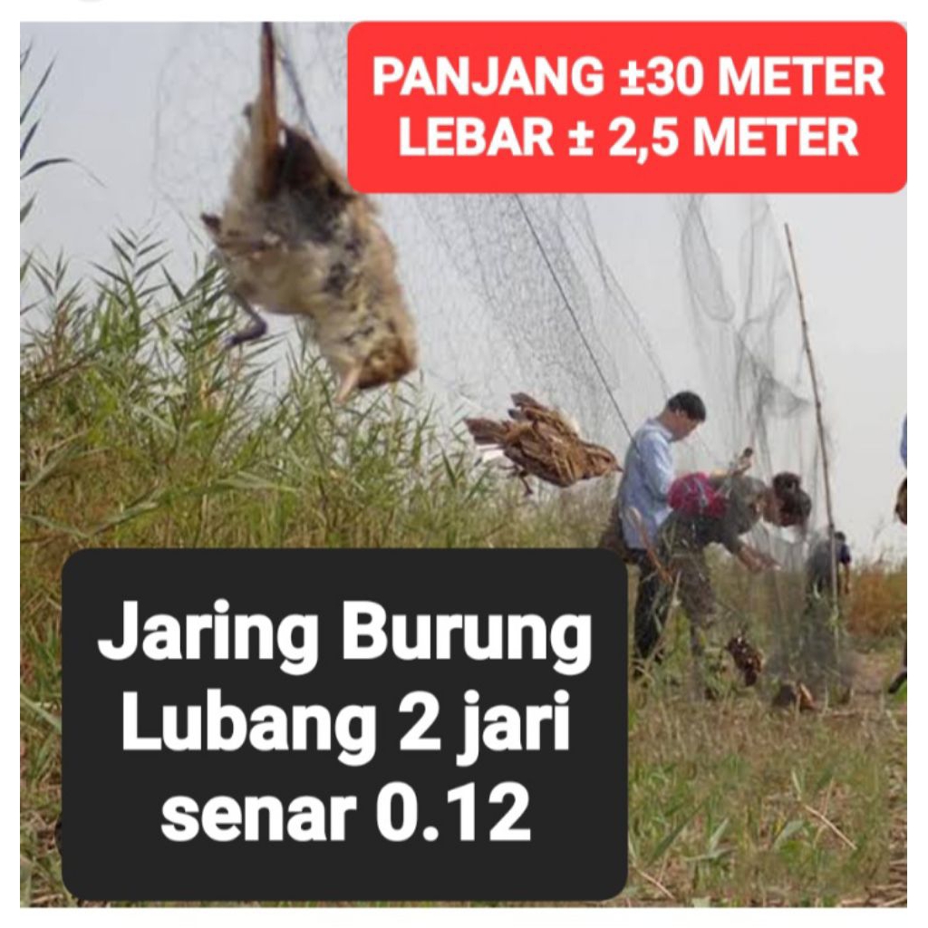 Jaring burung kecil 2 inchi panjang ±30 meter lebar ±2,5 meter jaring warna hitam senar 0.12 jaring 