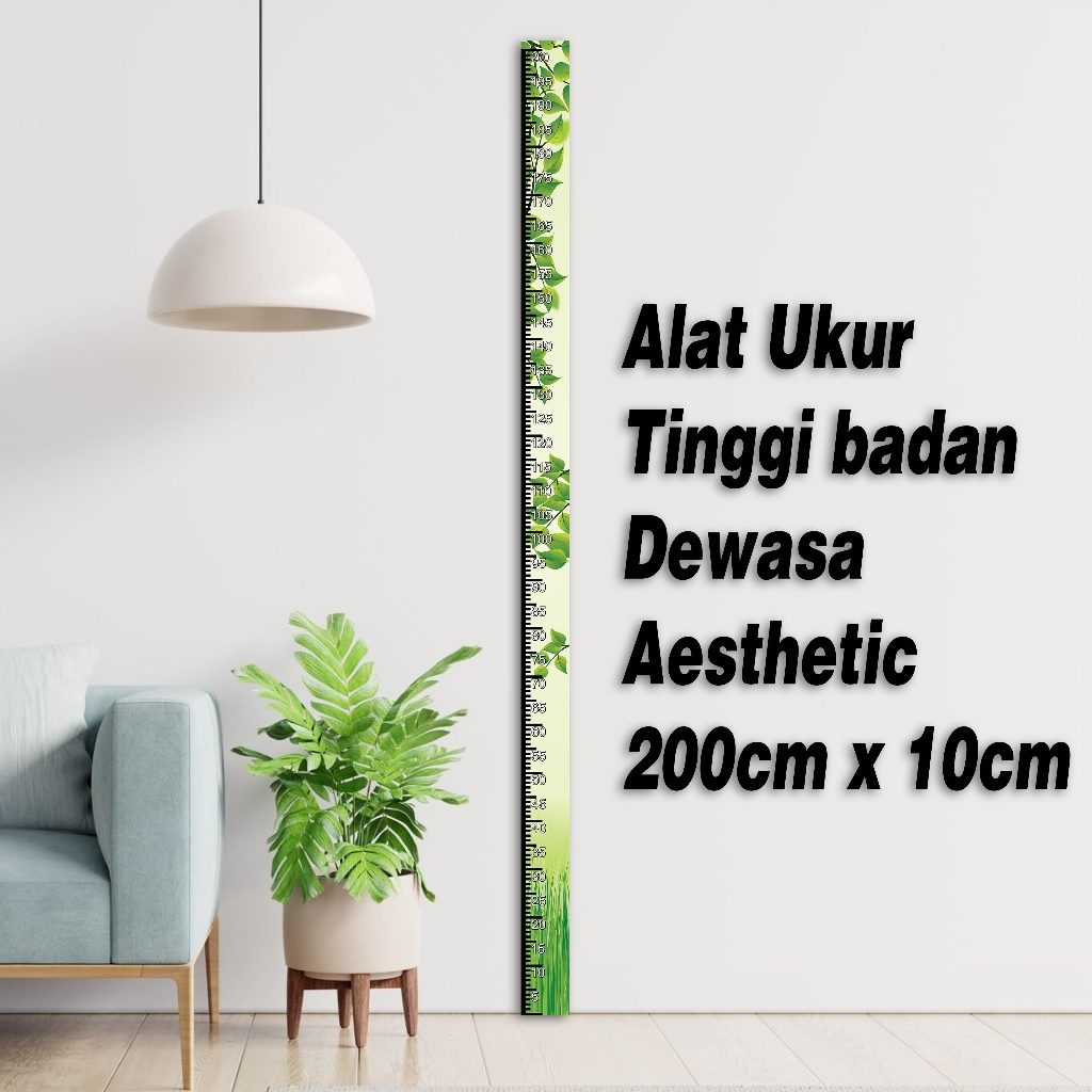 Alat Ukur Tinggi Badan Dewasa Aesthethic