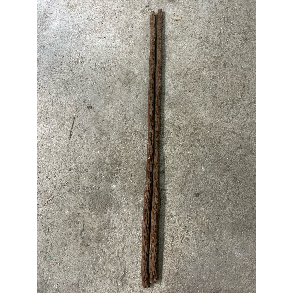 Tangkringan asam jawa/murai batu 65cm/premium/satu pasang/isi 2