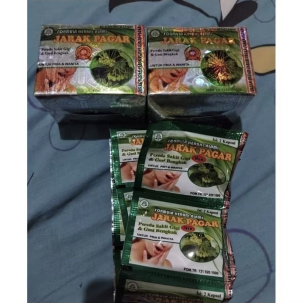 herbal JARAK PAGAR kapsul herbal alami untuk pria dan wanita sakit gigi gusi bengkak