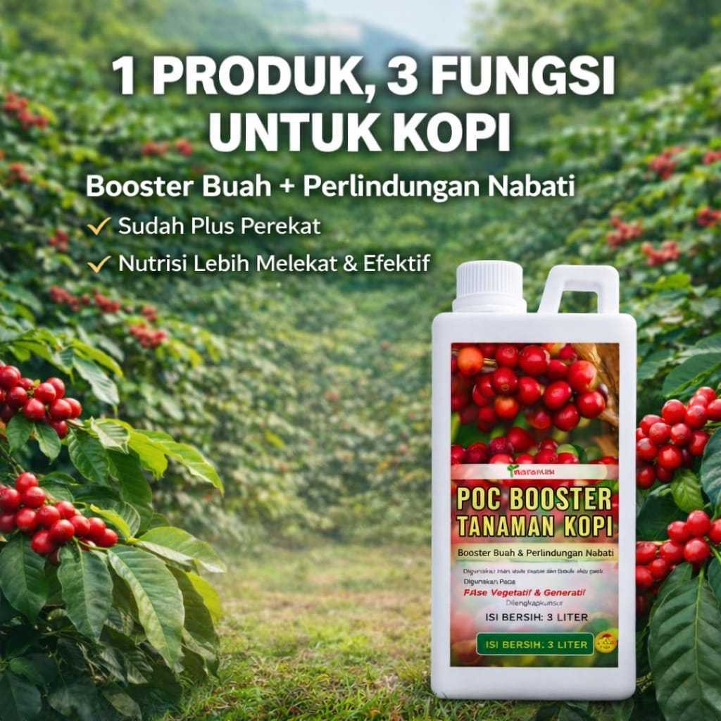 Booster pelebat buah kopi /Pupuk tanaman  kopi /Pupuk  kopi semprot/Pupuk cair organik  untuk kopi