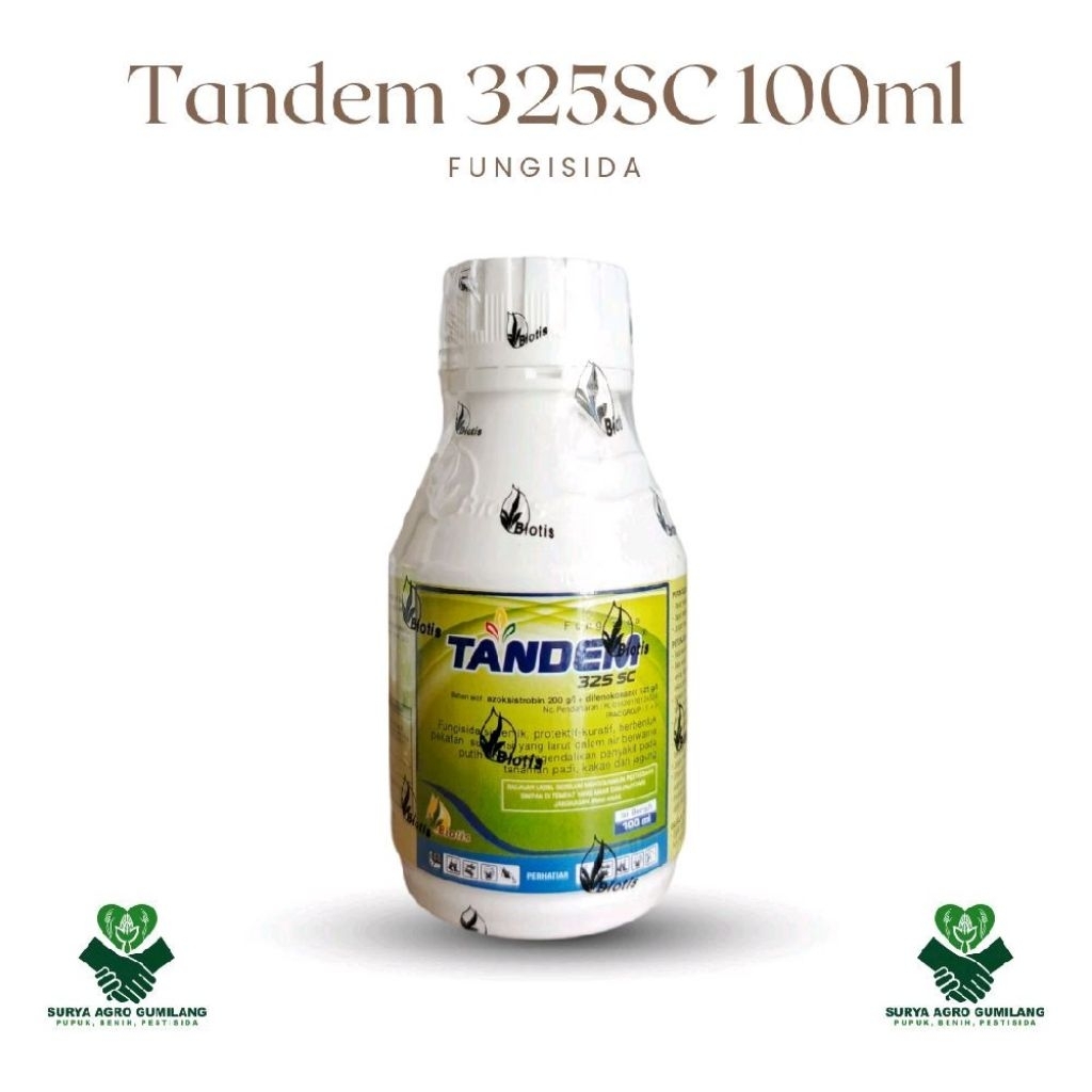 Tandem 325 SC Fungisida Sistemik, Fungisida Protektif, dan Fungisida Kuratif