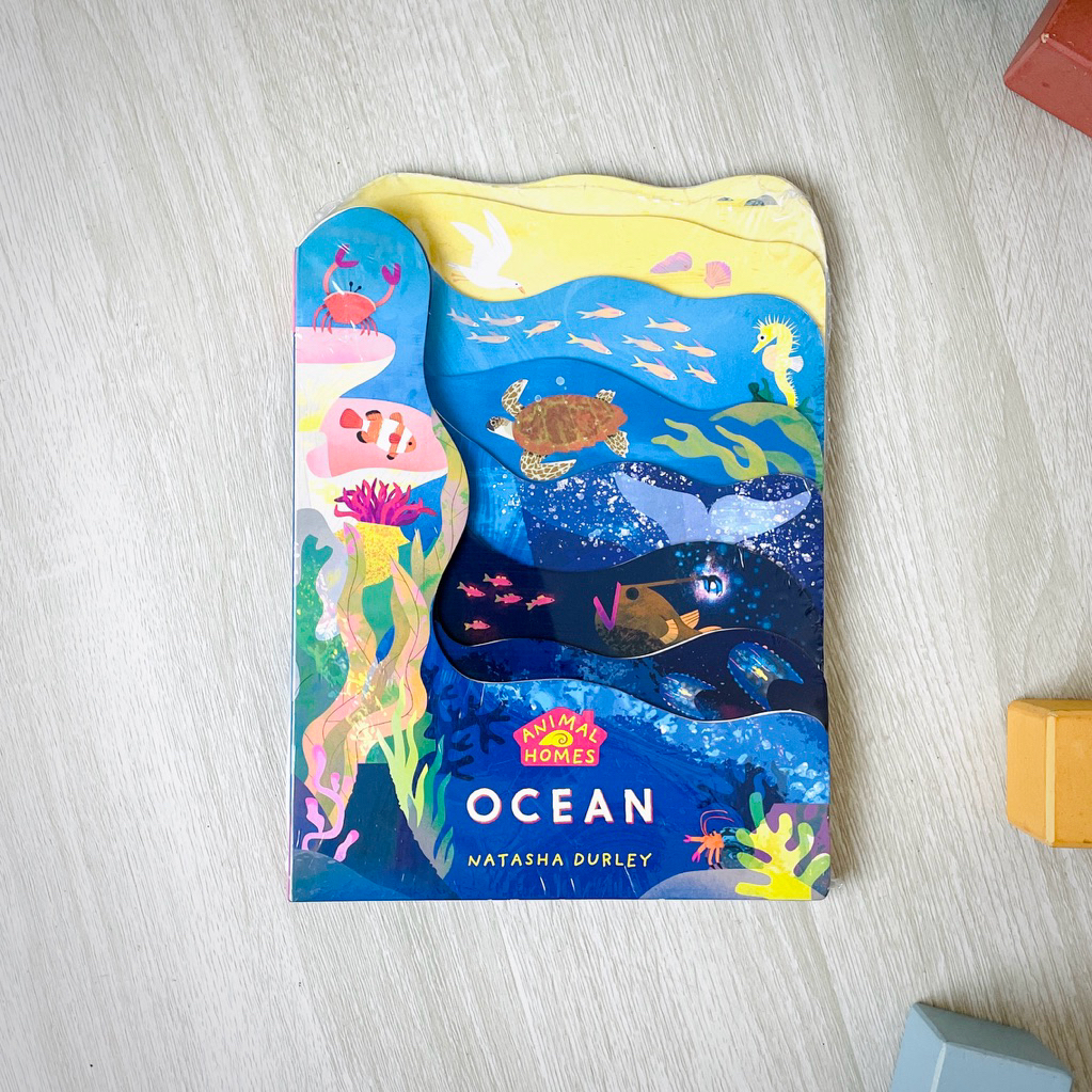 Templar Books - Animal Homes Ocean