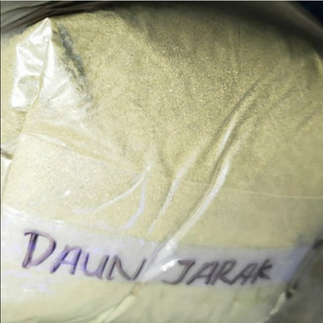 Bubuk Daun Jarak Pagar Murni / Serbuk Daun Jarak Pagar Herbal Alami / Tepung Daun Jarak Pagar Berkua