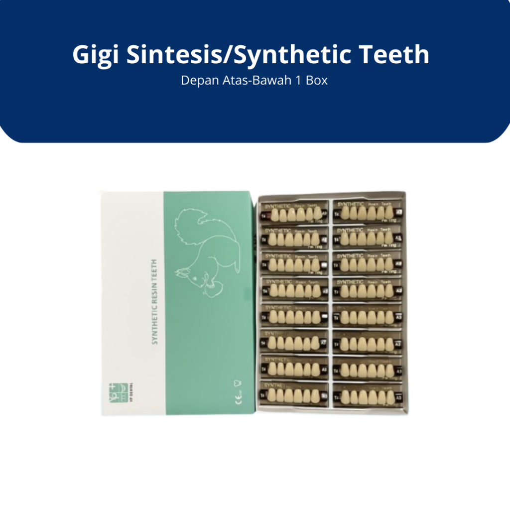YP Dental - Gigi Sintesis/Synthetic Teeth Depan Atas-Bawah 1 Box