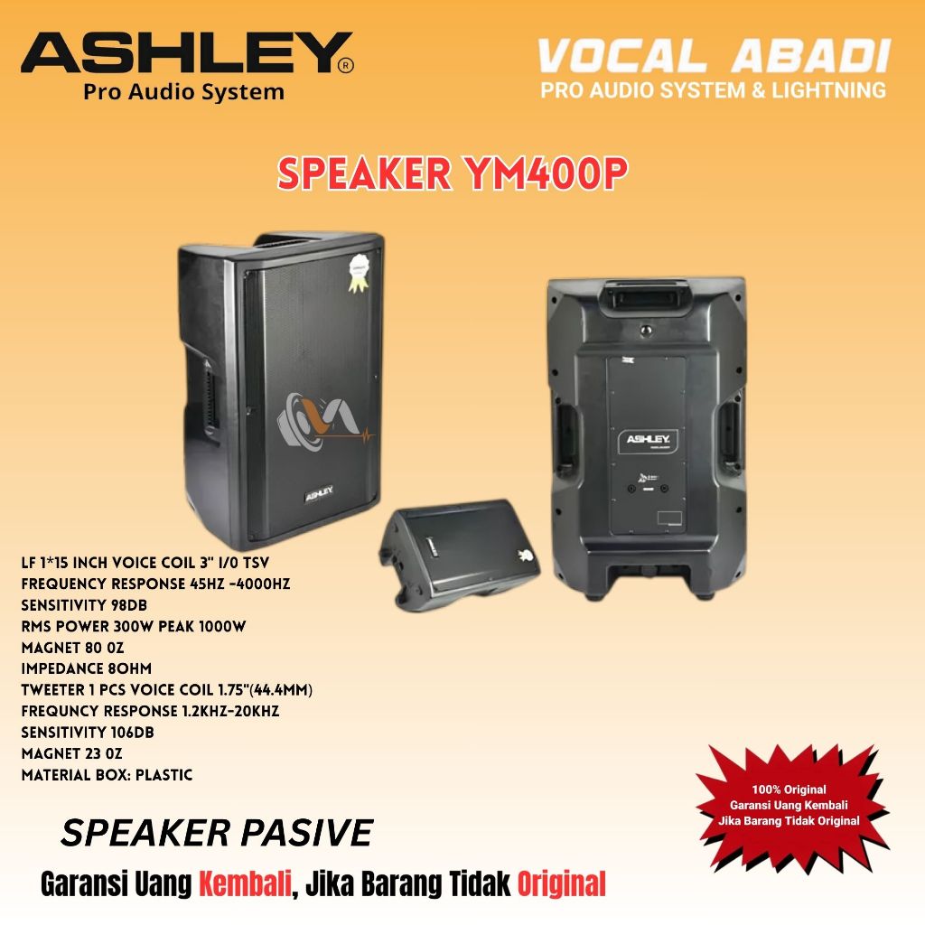 SPEAKER PASIVE ASHLEY YM 400 P
