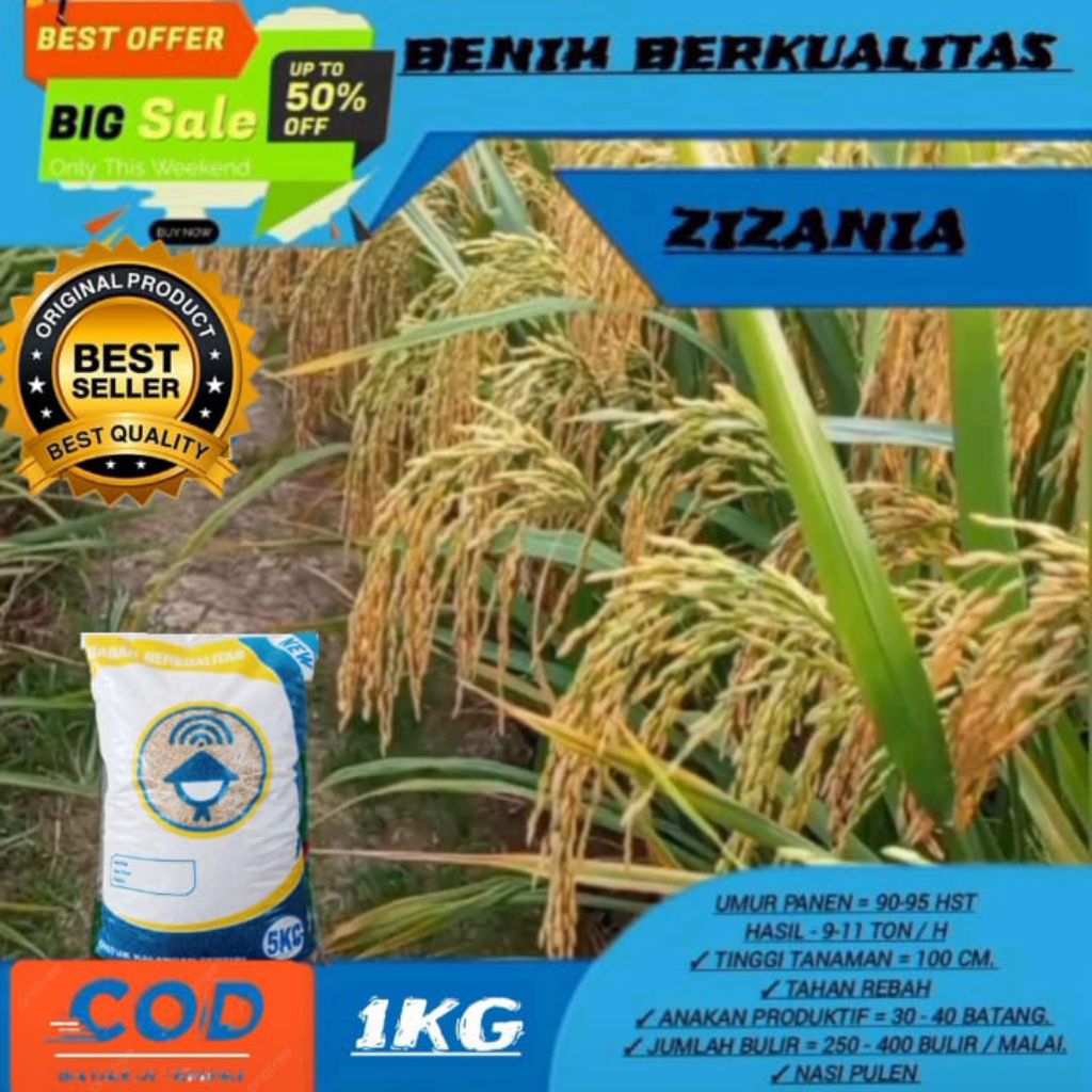benih padi zizania 5kg