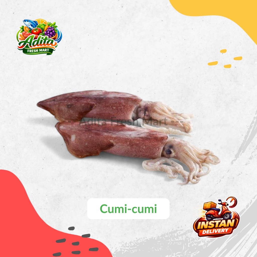 Cumi-cumi Segar / Frozen | Cumi-cumi