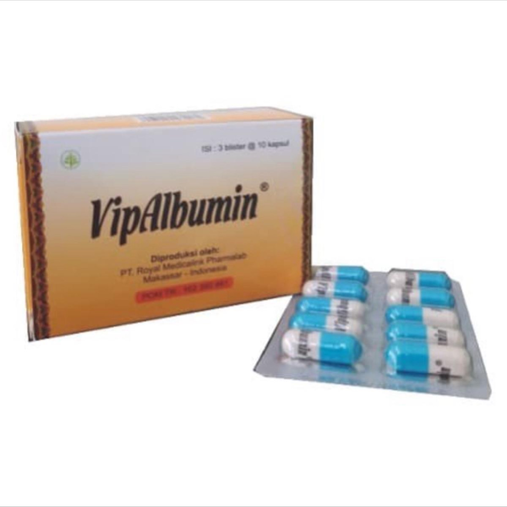 Vip Albumin Suplemen Daya Tahan Tubuh Herbal Yang Mengandung Ekstrak Ophiocephalus Striatus 1 Box Is