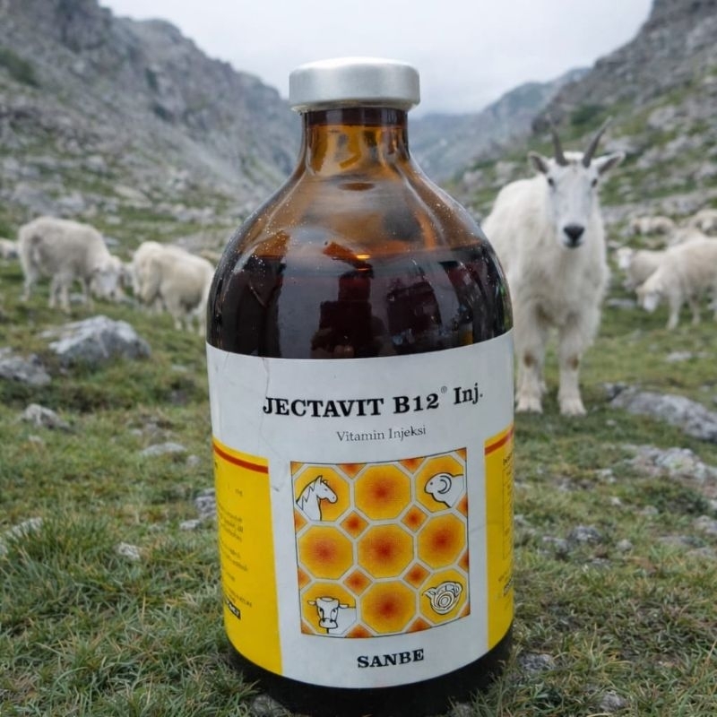 jectavit b12 1 botol 100ml {vitamin b12}