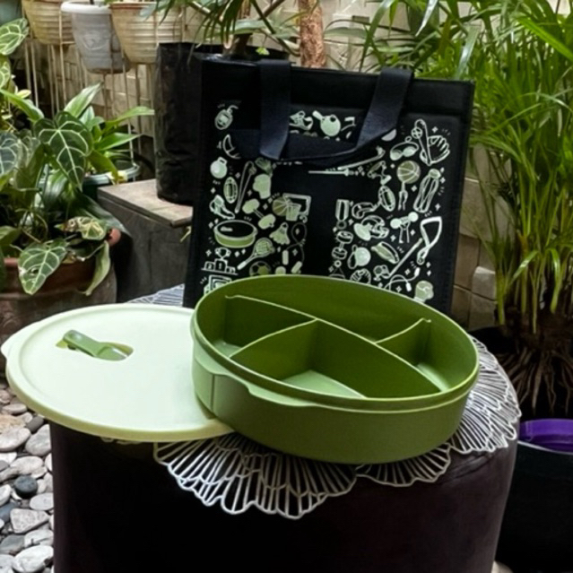 TEMPAT BEKAL FIT TO GO TUPPERWARE ORI