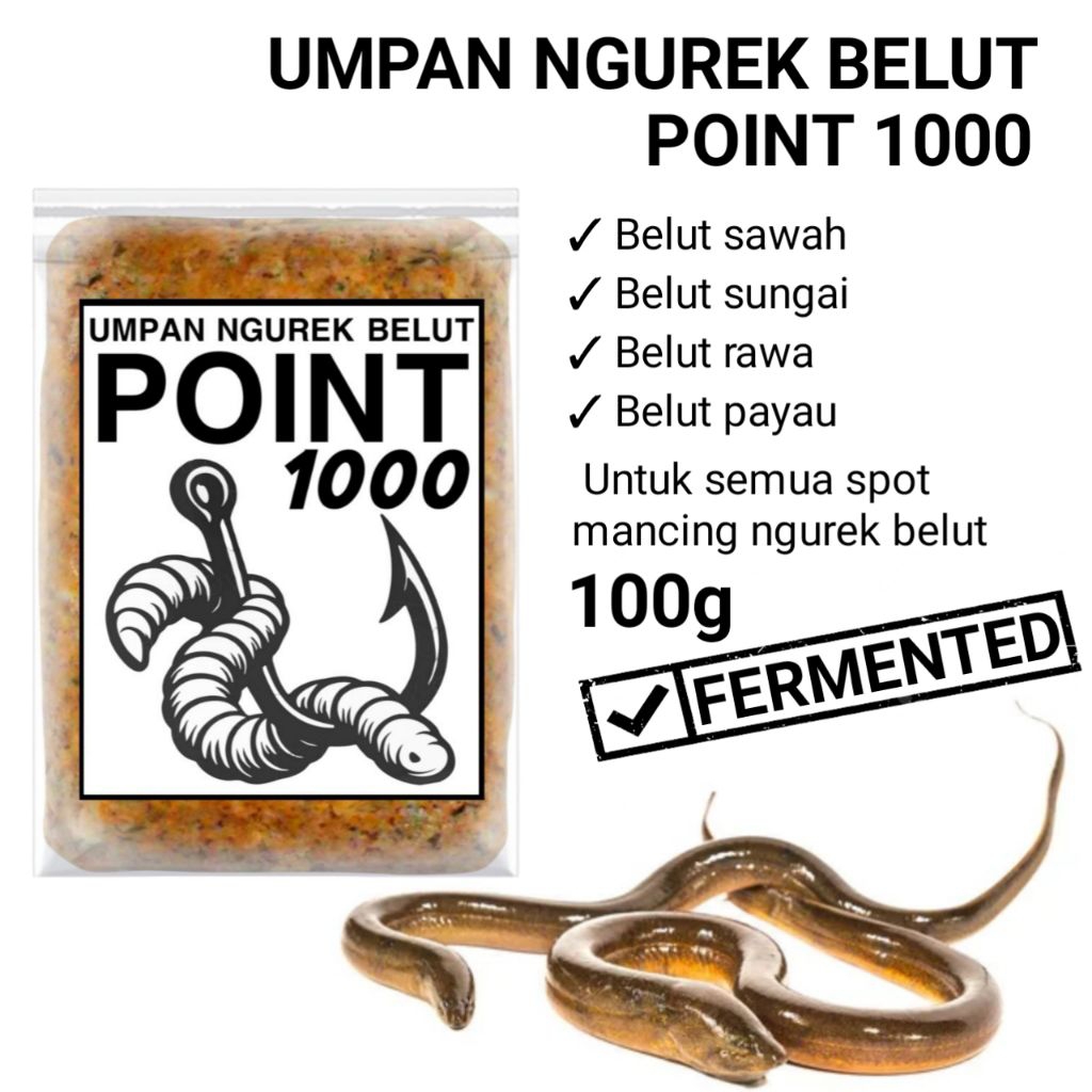 Umpan ngurek belut babon