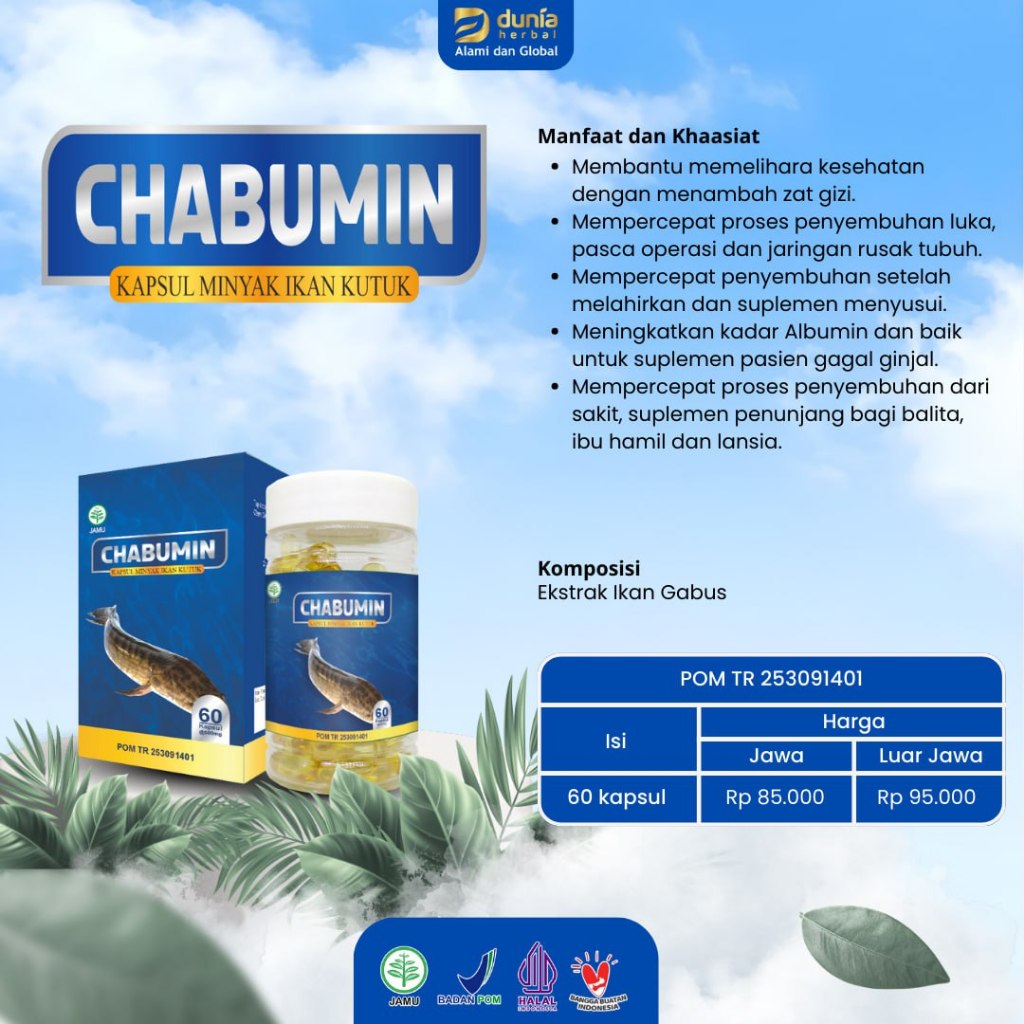 CHABUMIN Ekstrak Ikan Gabus/Kutuk/Channa Isi 60 Kapsul