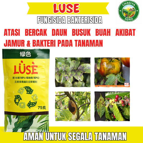 Luse Fungisida Sistemik Mengatasi Penyakit Patek Layu Fusarium Bercak Daun pada Tanaman Cabai Tomat 