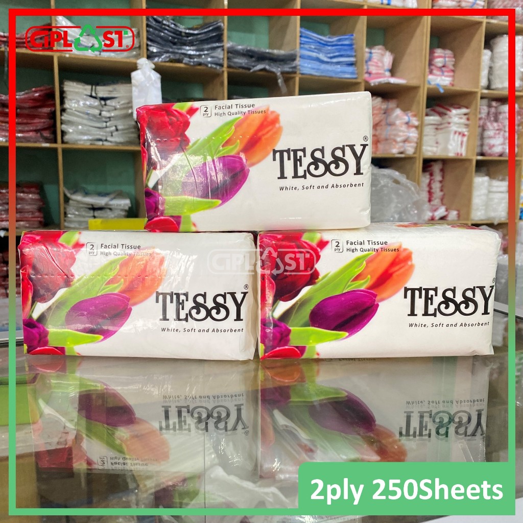 Facial Tissue TESSY Tisu Wajah High Quality 250 Sheets 2ply