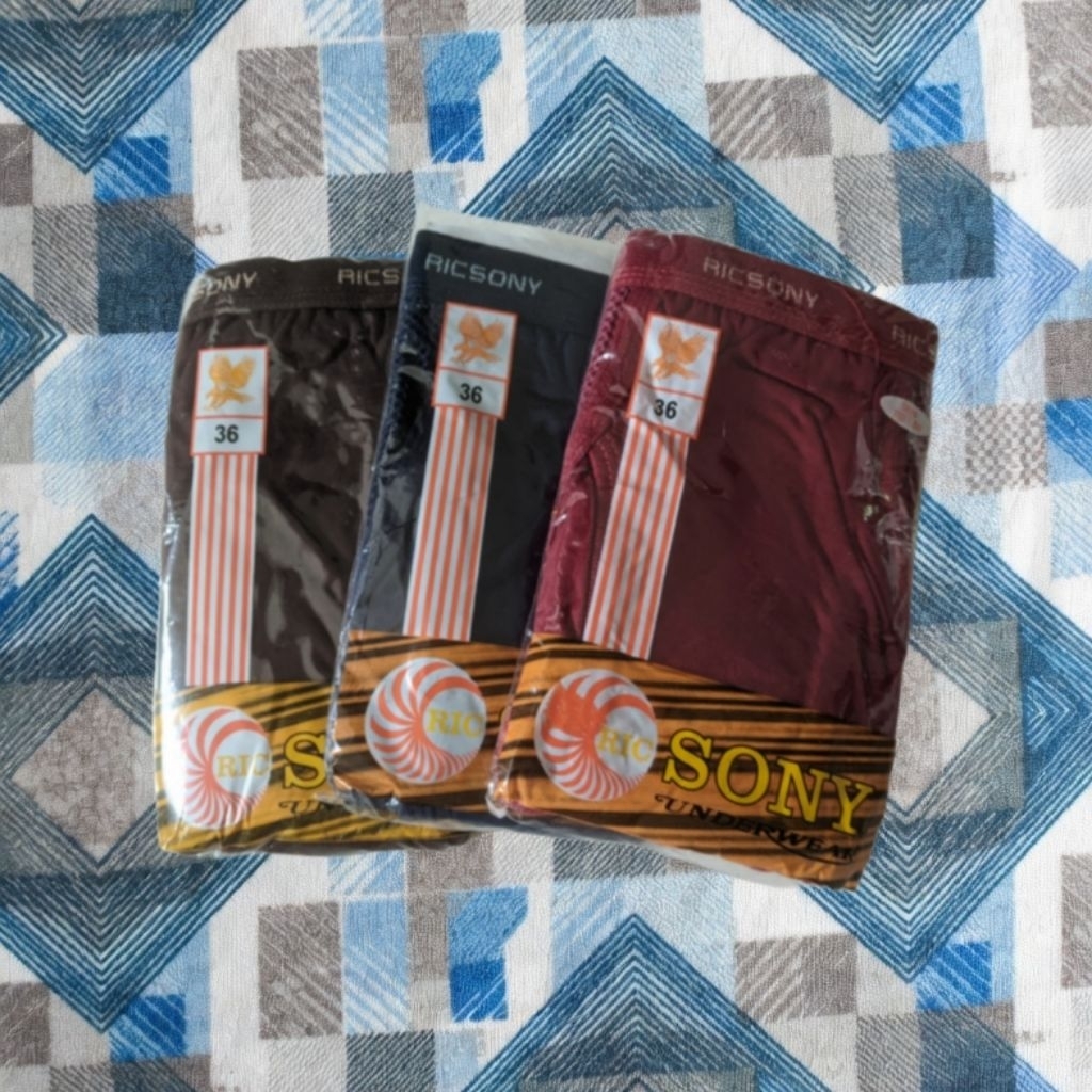 [iTQ] [Original] Ricsony 702SJW (Size 36) Celana Dalam Jaring Pria