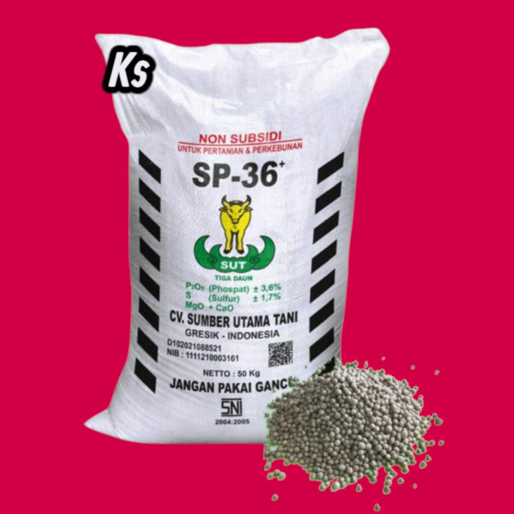 PUPUK TSP SP 36 1 KG ORIGINAL REPACK Pupuk Tani Penyubur dan Pembenah Tanah