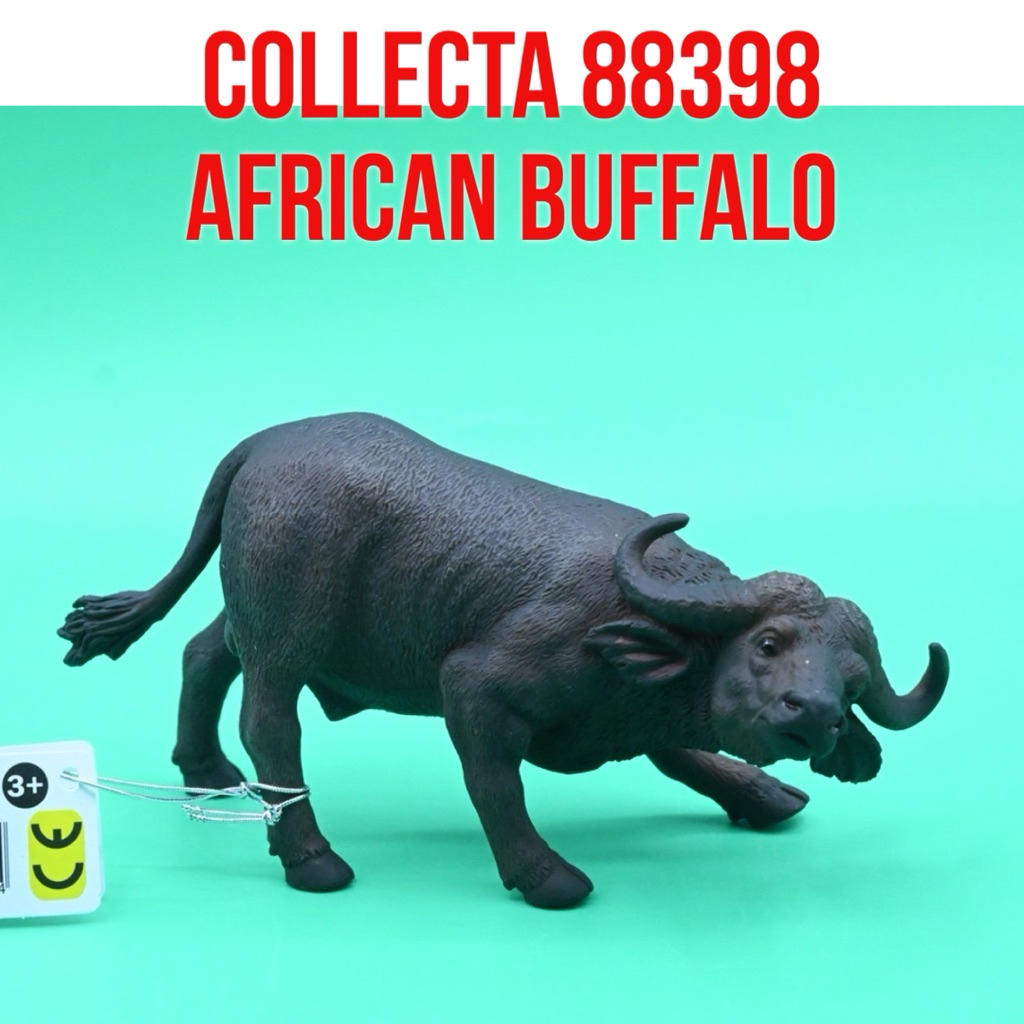 CollectA 88398 African Buffalo Kerbau Tanjung Afrika  Syncerus Caffer | Mainan Figure Binatang Minia