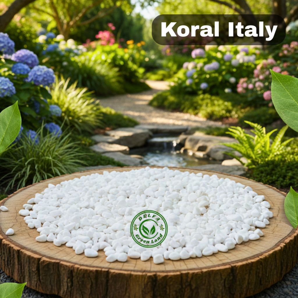 Batu Koral Italy Putih Salju Batu Coral Putih Import Berkualitas Untuk Taman Dan Landscape