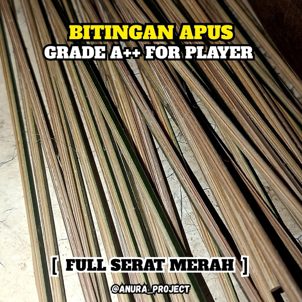 100 PSG BITINGAN APUS A++ SPECIAL FOR PLAYER/TURNAMEN 49/57 BAMBU RUJI LAYANGAN, ARKU LAYANGAN