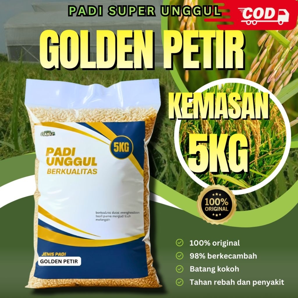 benih padi golden petir 5kg