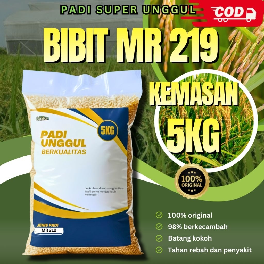benih padi Mr 219 5kg