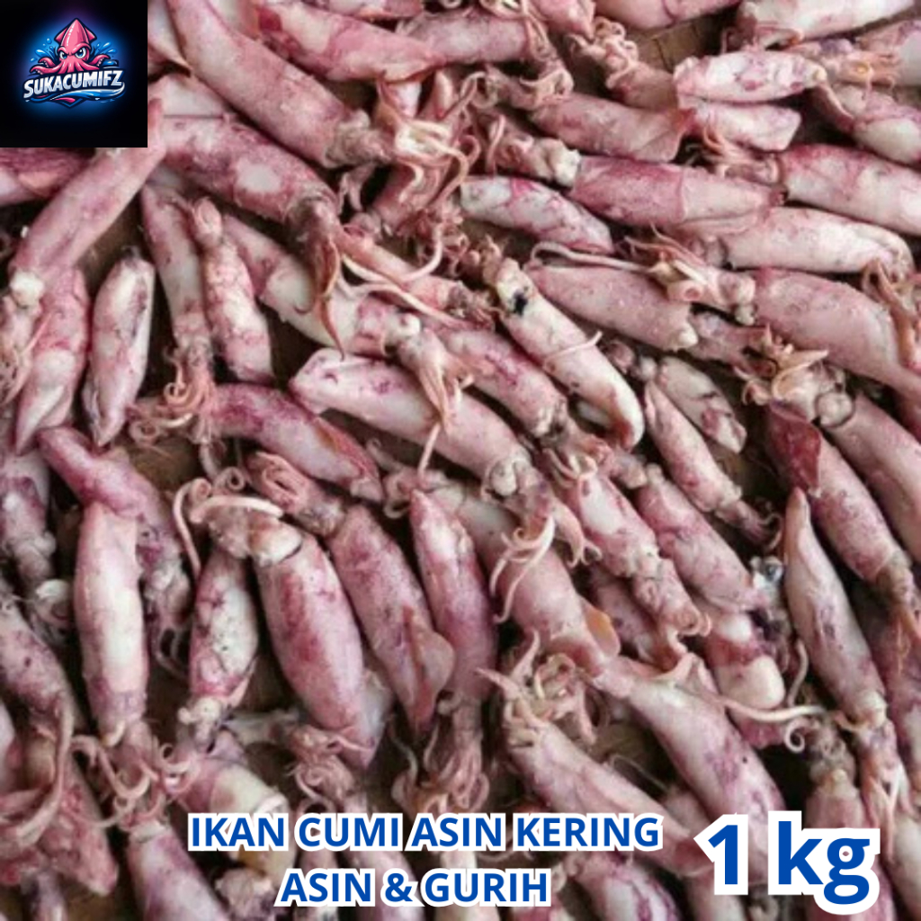 Cumi Sotong Kering 1Kg Murah Ikan Asin Cumi Kering / Khas Rembang Gread A