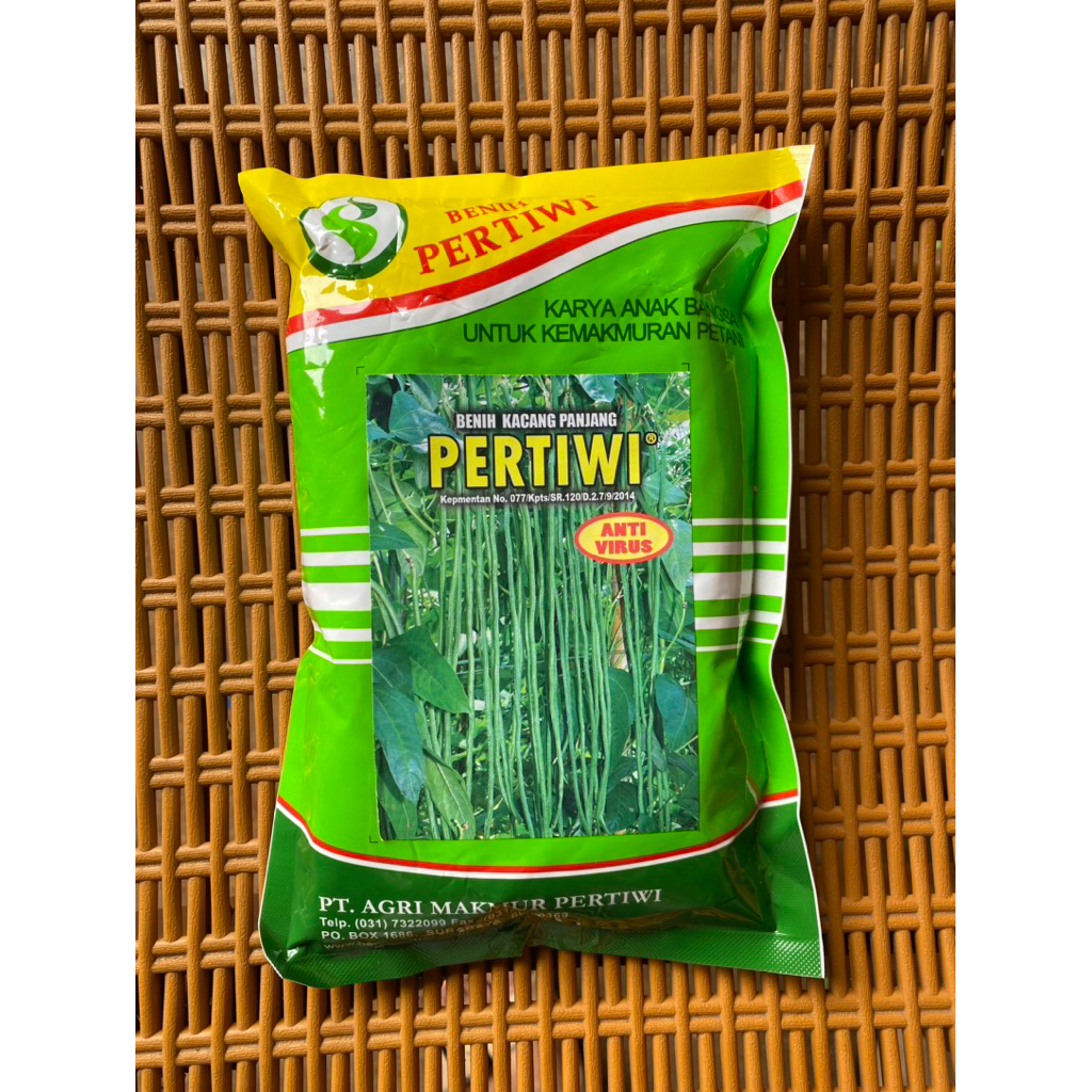 Bibit Kacang Panjang Pertiwi
