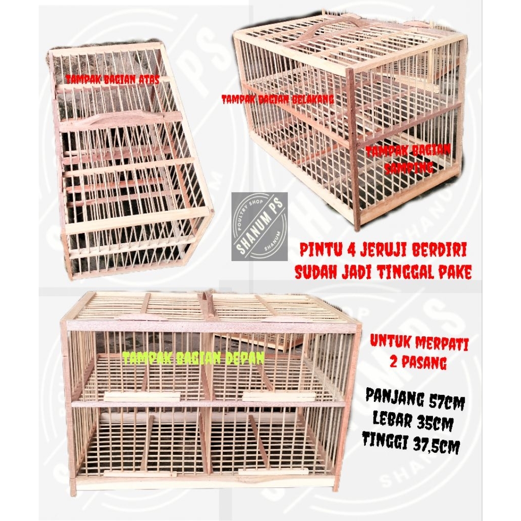 {INSTAN} DONDANG BURUNG DARA DONGDANG MERPATI SANKRIP KANDANG BURUNG