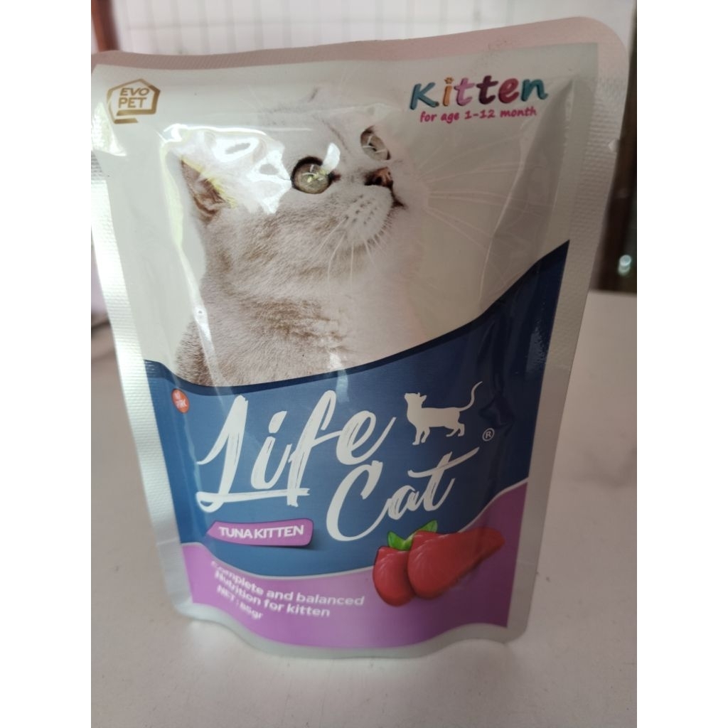 life cat tuna kitten