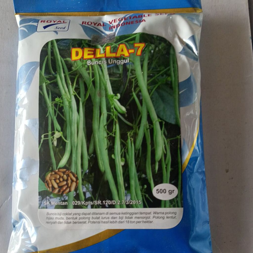 BIBIT BUNCIS DELLA 7  500 Gram