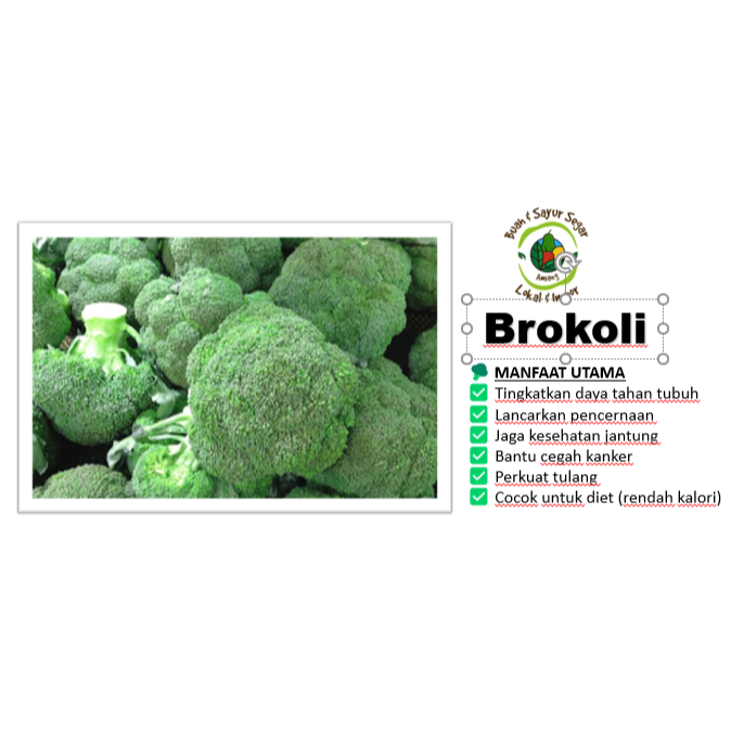 BROKOLI IMPORT FRESH