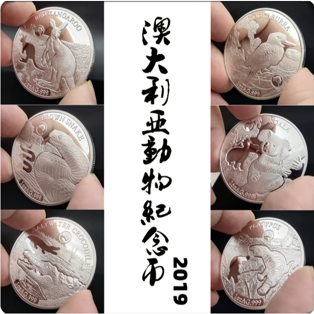 1 OZ Australia Silver Coins 2019 Elizabeth Silver Coin