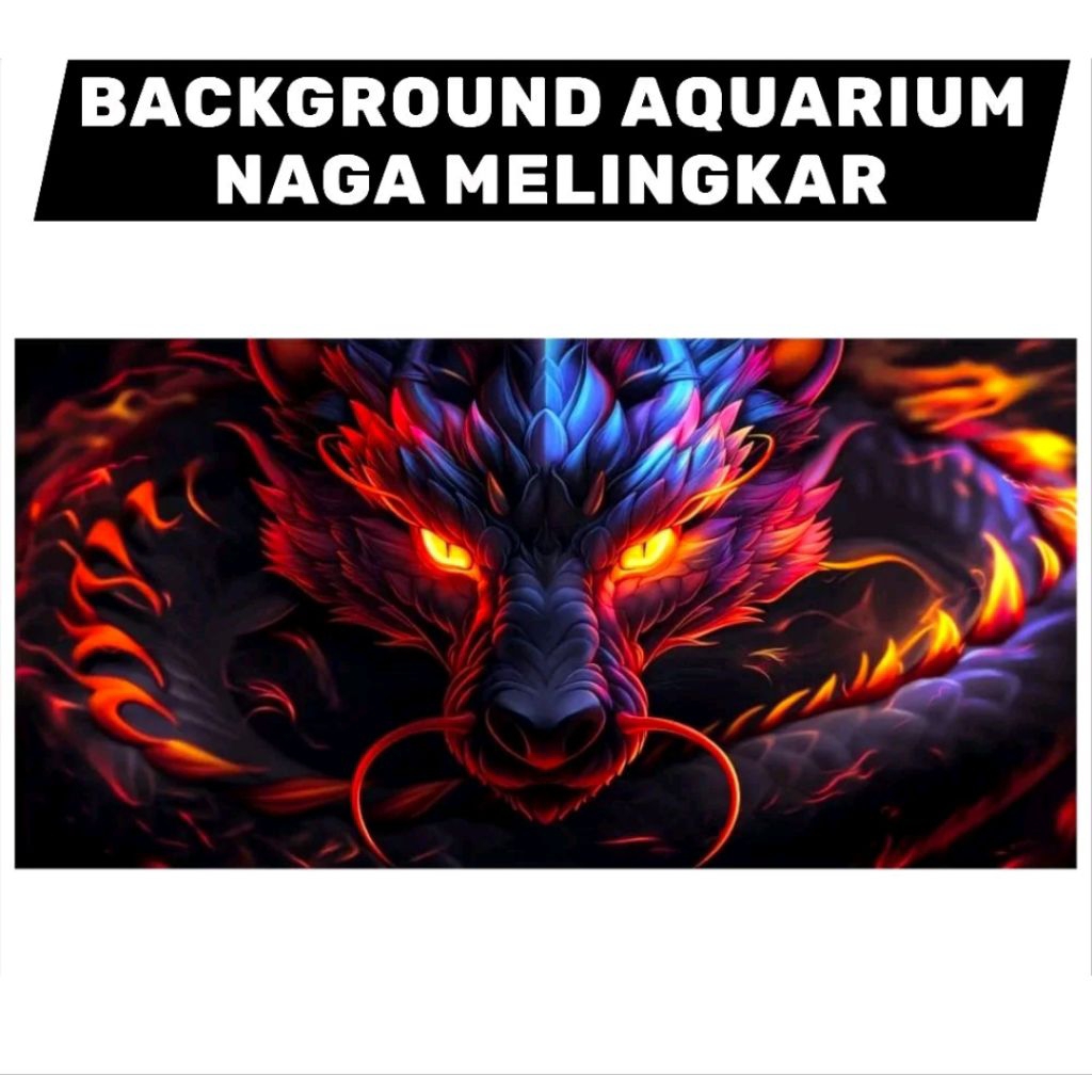 STICKER AQUARIUM BACKGROUND WALLPAPER GAMBAR NAGA MELINGKAR 3D