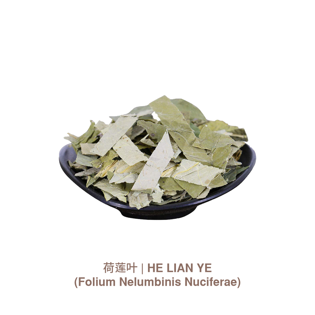 HE LIAN YE / LOTUS LEAF / DAUN TERATAI – Daun Teratai Nelumbo nucifera Herbal Cina Kering 150gr