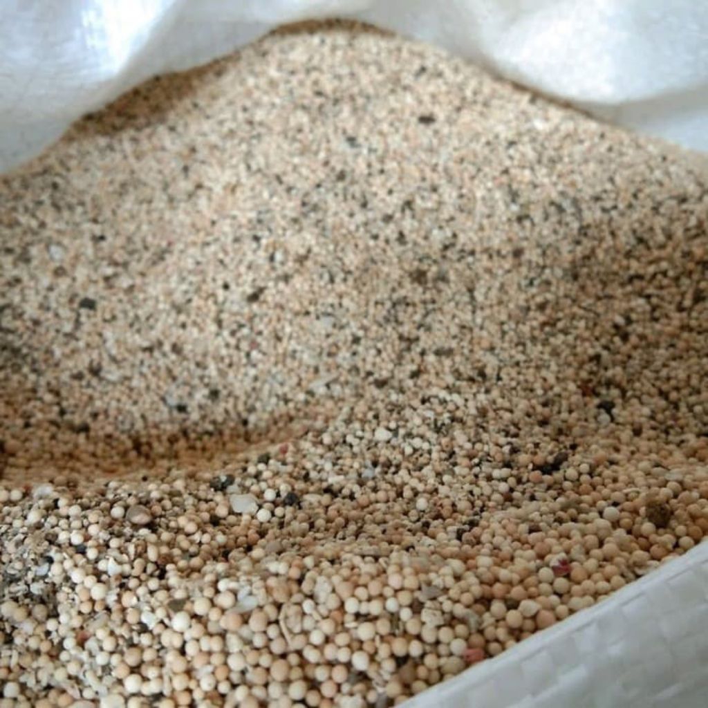 Pasir Akuarium Bali 1000gr - Warna Putih Kecoklatan, Dekorasi Alami, Aquascape